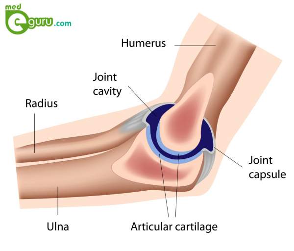 Elbow Pain Overview