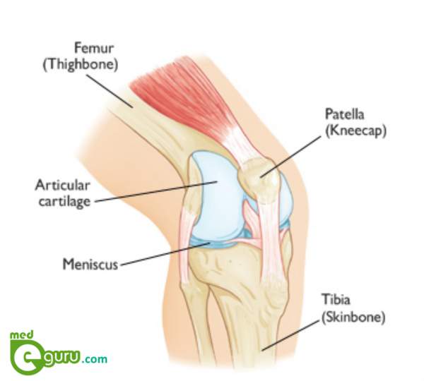 Knee pain Treatment